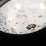 Потолочный светильник Maytoni C907-CL-06-R