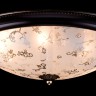 Потолочный светильник Maytoni C907-CL-06-R