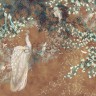 Обои и панно, Каталог VESNA, арт. AB124-COL2
