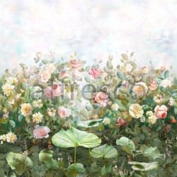 Обои и панно, Каталог Цветариум, арт. Rose garden Color 2
