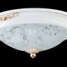 Потолочный светильник Maytoni C907-CL-02-W