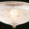 Потолочный светильник Maytoni C907-CL-02-W