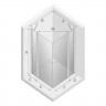 Душевое ограждение NEW TRENDY NEW SOLEO 2D 110x120x195 K-0752 (хром)