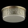 Потолочный светильник Maytoni H260-05-N
