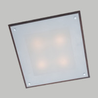 Настенно-потолочный CITILUX CL938541 Венге+Белый