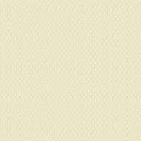 Aura Plain Resource vol.2 B1180404; 0,53x10,05 м.