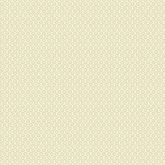 Aura Plain Resource vol.2 B1180404; 0,53x10,05 м.