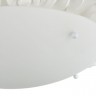 Потолочный светильник Maytoni C901-CL-04-W