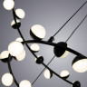 Люстра Arte Lamp DEXTER