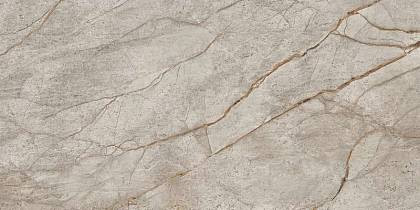 Empire Silver Root Rett 60x120 Lapp (610015000618) Керамогранит