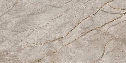 Empire Silver Root 60x120 (610010002187) Керамогранит