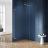 Душевое ограждение NEW TRENDY AVEXA GOLD BRUSHED 110x200 EXK-1820 (брашированное золото)