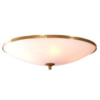 Настенно-потолочный CITILUX CL912500 Белый