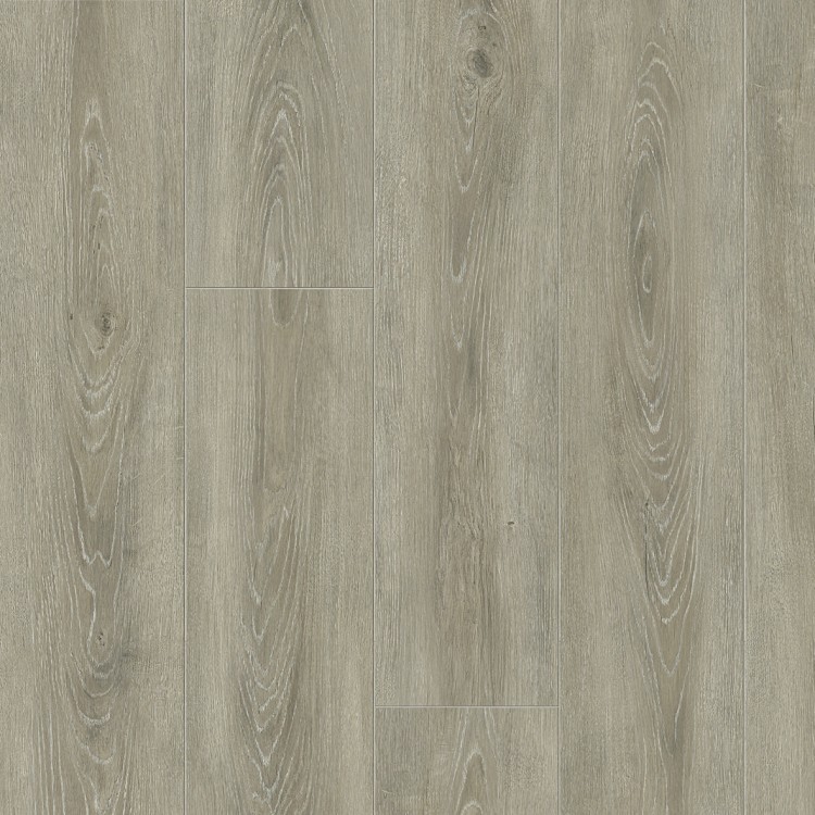 S180031 Anise Oak 