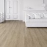 S180031 Anise Oak 