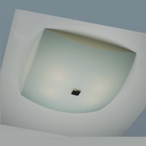 Настенно-потолочный CITILUX CL931011 Белый