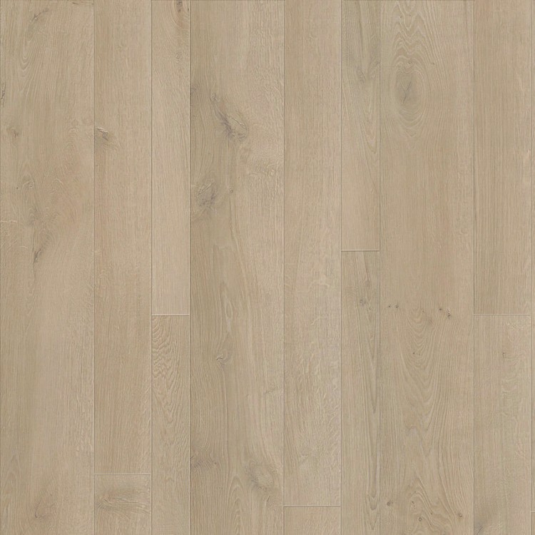 S172494 Divino Oak