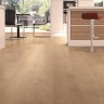 S172494 Divino Oak