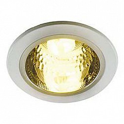 ARTE lamp A8044PL-1SI