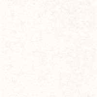 Обои CASELIO Beton 101480000