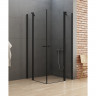 Душевое ограждение NEW TRENDY NEW SOLEO BLACK 2D 120x120x195 K-0558 (черный)