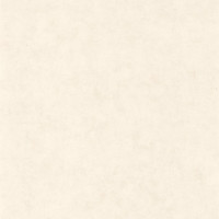 Обои CASELIO Beton 101480010