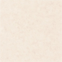 Обои CASELIO Beton 101481002