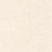 Обои CASELIO Beton 101481258